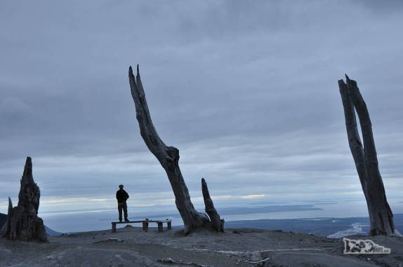 Entre os esqueletos de antigas árvores, no topo do vulcão Chaitén, no sul do Chile